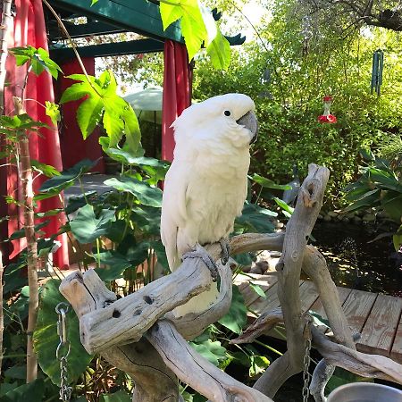 Don'S Elegante Bed & Breakfast Phoenix Extérieur photo