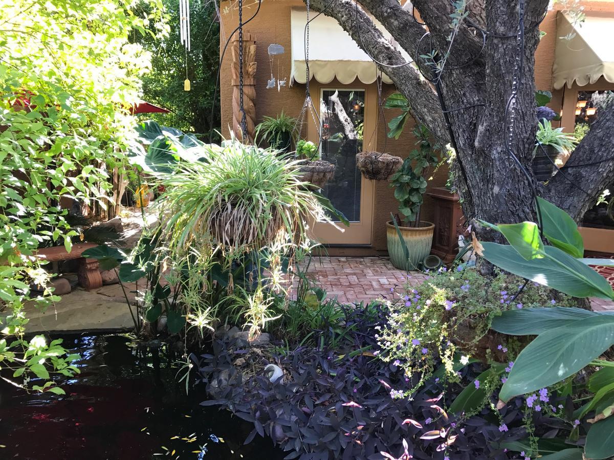 Don'S Elegante Bed & Breakfast Phoenix Extérieur photo